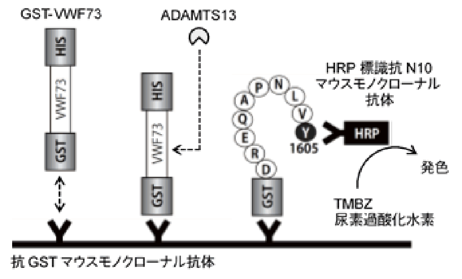 反応原理の図